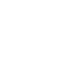 Globe hemisphere east bold white